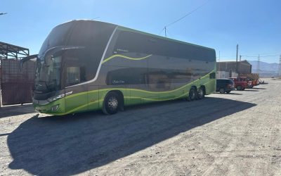 WhatsApp Image 2025-08-07 at 6.38.00 AM (10)