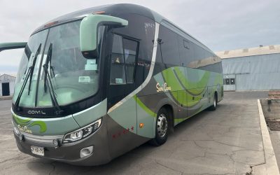 WhatsApp Image 2025-08-07 at 6.38.00 AM (11)