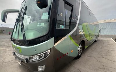 WhatsApp Image 2025-08-07 at 6.38.00 AM (12)