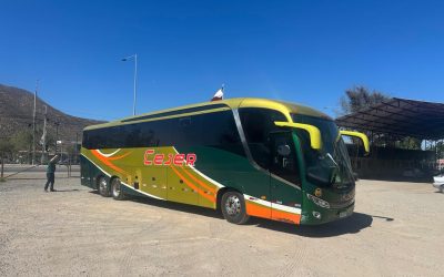 WhatsApp Image 2025-08-07 at 6.38.00 AM (15)