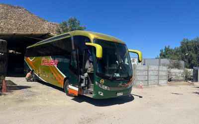 WhatsApp Image 2025-08-07 at 6.38.00 AM (16)