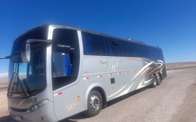 WhatsApp Image 2025-08-07 at 6.38.00 AM (3)