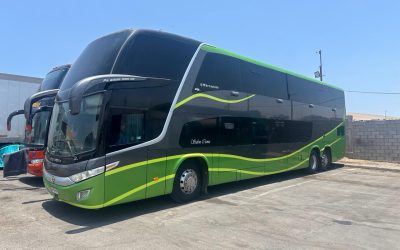 WhatsApp Image 2025-08-07 at 6.38.00 AM (7)