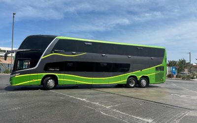 WhatsApp Image 2025-08-07 at 6.38.00 AM (8)